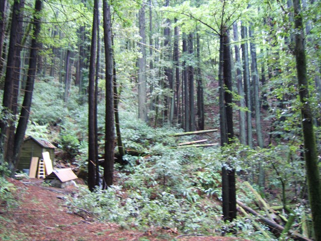 Pump house rehab – King’s Mountain