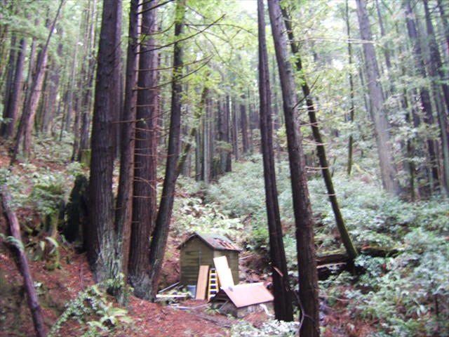 Pump house rehab – King’s Mountain2