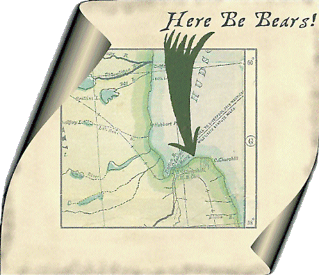 Here be Churchill Manitoba polar bears and polar bear art