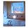 Aqua Reef Window